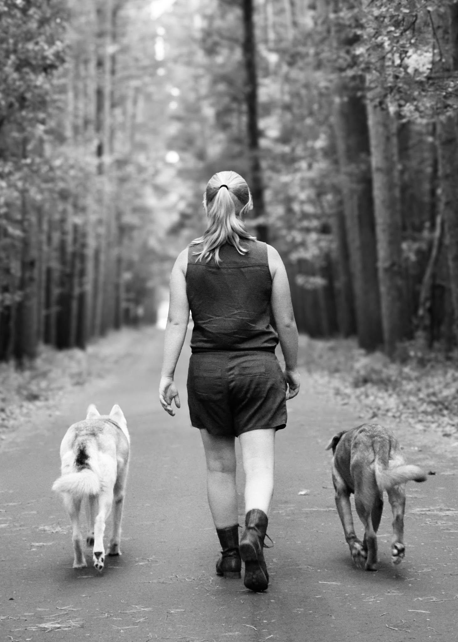 Savannah walking a quiet wooded path with two dogs, in black and white